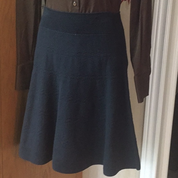 Dresses & Skirts - NWOT Slip in Navy blue knit skirt